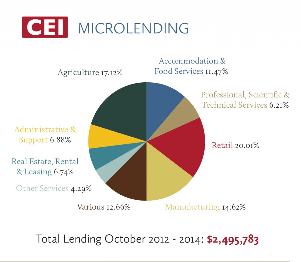CE MicroLending Pie Chart