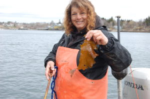 A sternman during the lobstering season, Lisa Moore has been harvesting wild kelp and selling it to Ocean Approved for the past four years.