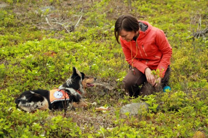 Owner Lindsay Ware and Dog in the field