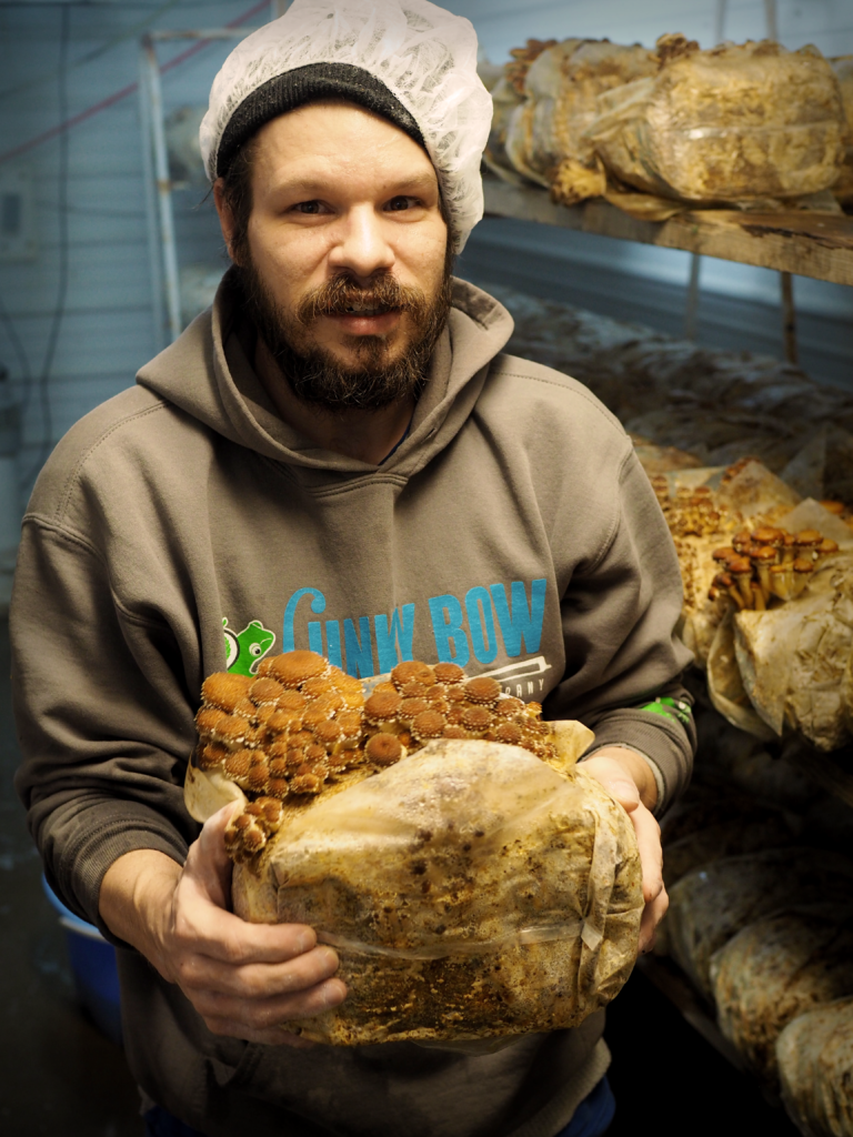 A breaded white male wearing a hair net holds a block of gorwing mushrooms