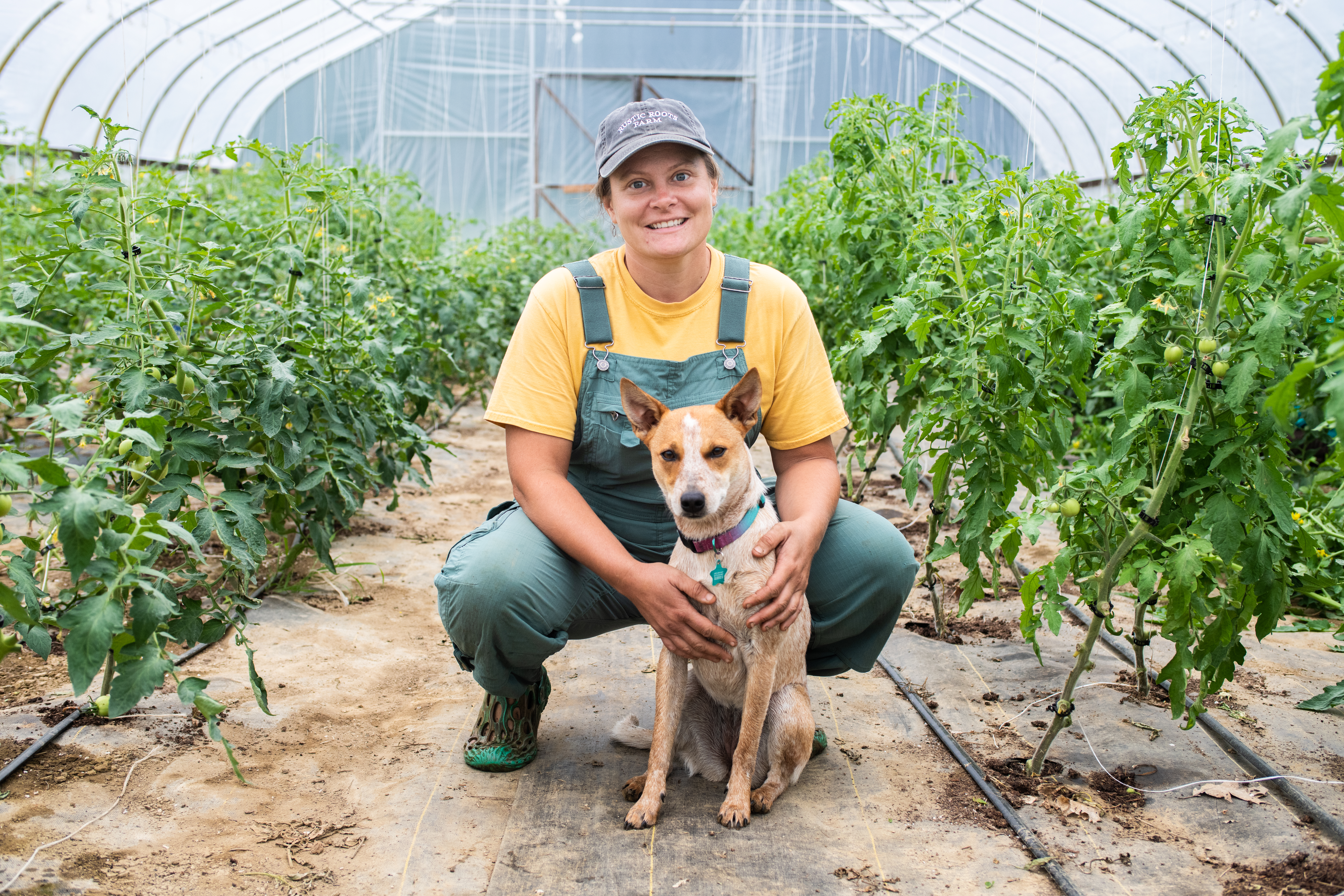 A female farmer and her dog sit between rows of crops in a hoop house