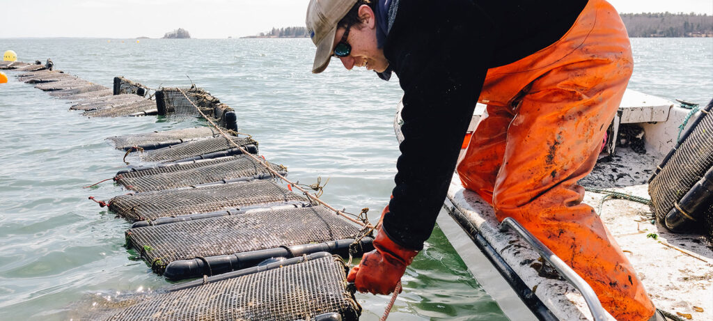 image of Maine Ocean Farms 